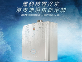 燃气热水器品牌排行榜